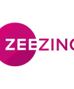 zing@0.1/-