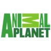 Animal Planet@2/-