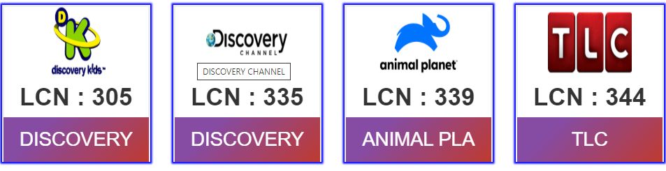 DISCOVERY KIDS INFOTAINMENT PACK 